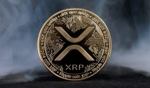 افزایش ترس در بازار XRP به بالاترین سطح سه‌ماهه؛ تکرار الگوی صعودی؟