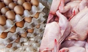قیمت جدید گوشت، تخم‌مرغ و مرغ رسما اعلام شد