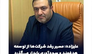 علیزاده: مسیر رشد شرکت‌ها از توسعه هدفمند و سودآوری پایدار می‌گذرد