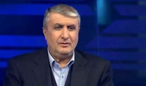 رئیس سازمان انرژی اتمی: مماشات با جریان‌های زورگو نخواهیم داشت