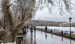 هشدار هواشناسی برای رگبار در ۱۷ استان و باد شدید در ۱۳ استان