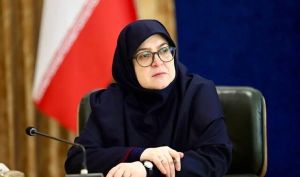 مهاجرانی: دولت مایل به افزایش مبلغ کالابرگ است اما باید امکان‌پذیری آن بررسی شود