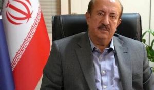 التهاب بازار خودرو ناشی از سودجویی و دامن‌زدن غیرواقعی است | هیچ محدودیتی در واردات خودرو وجود ندارد