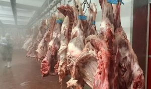 دبیر انجمن گوشت: افزایش هزینه بسته‌بندی تأثیری بر قیمت گوشت و مرغ ندارد