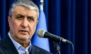 اسلامی: نشست شورای امنیت غیرحرفه‌ای و غیرحقوقی بود / گروسی در نقشه دشمن ایفای نقش می‌کند