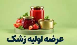 عرضه اولیه زشک در ۱۳ مهر؛ سناریوهای احتمالی تخصیص سهام و نقدینگی