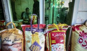 کاهش ۲۵ درصدی قیمت برنج و حبوبات در بازار | قیمت انواع برنج را در بازار ببینید