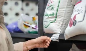 قیمت انواع برنج و شکر در بنکداری‌ها اعلام شد