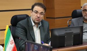 معاون وزیر صمت: صنایع کشور نیازمند حمایت مالی بیشتر هستند؛ تنها ۴۰ درصد ظرفیت فعال است