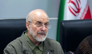 کنایه رئیس تیم مذاکره‌کننده ایران به ادعای خرید غلات از آمریکا