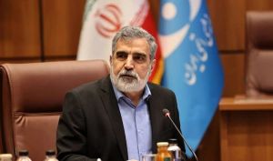 سخنگوی انرژی اتمی: صنعت هسته‌ای با ریشه‌های عمیق، ضربه‌پذیر نیست