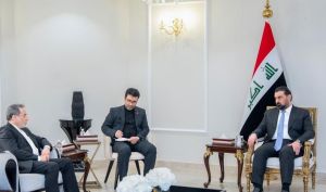 دیدار عراقچی با رئیس مجلس عراق؛ تمرکز بر همکاری دوجانبه