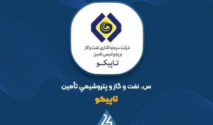 نگاهی به ارزش افزوده های سنگین سبد «تاپیکو»