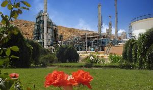 روند افزایش قیمت سهام پتروشیمی شیراز