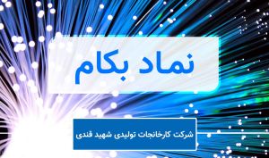 افزایش سرمایه ۳۶ درصدی «بکام» تصویب شد  