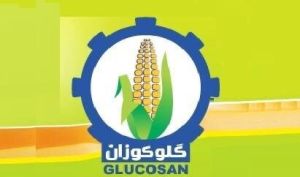 چه خبر از مجمع غگل؟