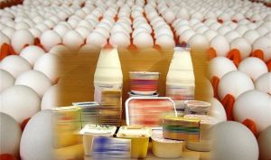 عوارض صادراتی مرغ، تخم‌ مرغ، شیر خشک، خامه و چربی برداشته شد