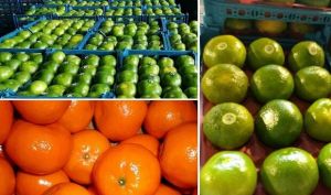 گران فروشی میوه به سبک شرکت های بسته بندی