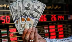 یک کارشناس اقتصادی: قیمت ارز سقوط تاریخی را ثبت خواهد کرد، اگر...