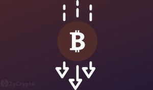 پیش بینی سقوط مجدد بیت کوین