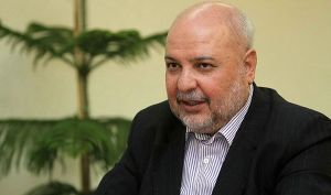 رئیس سازمان برنامه و بودجه: فعلا حذف ارز نهاده‌ ها مطرح است