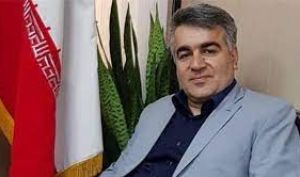 مدیر عامل فباهنر: در مدت ۱۰ ماه توانستیم بودجه کامل را محقق کنیم