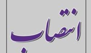 انتصابات جدید در بانک ایران زمین