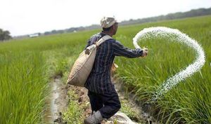 نرخ کود کشاورزی برای مصرف کننده تغییری نخواهد کرد