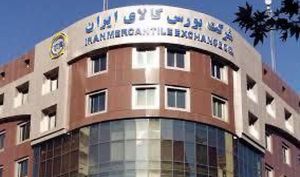 تاکید بهارستان نشینان بر تداوم عرضه خودرو در بورس کالا