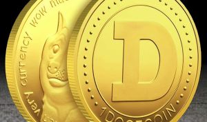 استقبال دارک نت از دوج کوین!
