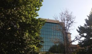 عملکرد قابل قبول شرکت سرمایه گذاری توسعه معادن و فلزات