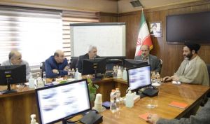 قیمت گذاری دستوری آفت جان صنعت خودرو