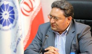 رییس شوراى ملى زعفران: عده ای به دنبال گرانی کاذب زعفران و منفعت شخصی هستند