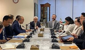 دیدار غریب‌آبادی با ۱۰ عضو غیردائم شورای امنیت