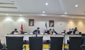 مجمع «فبیرا» سودی برای تقسیم نداشت