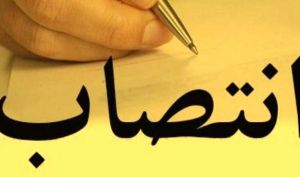 مدیرعامل «وهور» معرفی شد