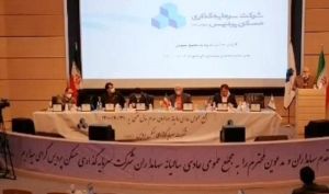 مجمع «ثپردیس» 35 درصد سود شرکت را تقسیم کرد