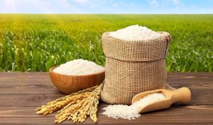 قیمت جدید برنج ایرانی در بازار/ رئیس اتاق اصناف تهران: کمبودی در بازار نداریم