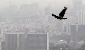 اجاره ۱۲۷ هزار تومانی هر مترمربع مسکن در تهران/ رشد ۱۰ برابری اجاره‌بها مسکن طی ۱۱ سال