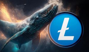 افزایش خرید نهنگ‌ها؛ آیا لایت کوین به روند صعودی بازمی‌گردد؟