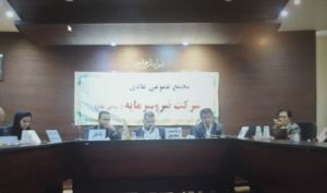 نیرو سرمایه دارایی زیان ده خود را فروخت