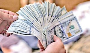 برنامه مکتوب دولت برای حذف ارز ترجیحی تقدیم مجلس شد