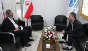 مدیر بازرسی صندوق تامین خسارت‌های بدنی: دارندگان وسایل نقلیه فاقد بیمه‌نامه شخص ثالث از فرصت بخشودگی جرایم استفاده کنند