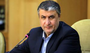 اسلامی: دو بازرس آژانس آمدند نظارتشان را انجام دادند و رفتند/ جلسه سوم با آژانس در پیش است