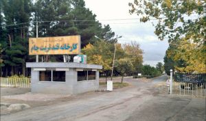 خروج قجام از ماده 141