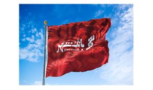 احمدی اعلام کرد؛ گام های محکم و بلند بانک شهر در مسیر"سودآوری"