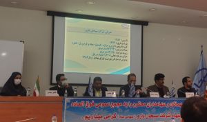مصوبه مجمع سبحان دارو چه بود؟