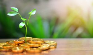 کدام صندوق را انتخاب کنیم؟