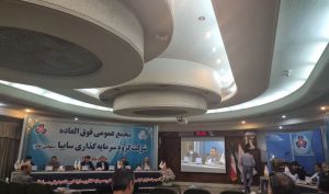 تصویب افزایش سرمایه «وساپا» در مجمع