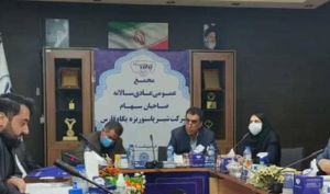 مجمع غفارس سودی تقسیم نکرد
